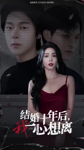 结婚十年后，我一心想离 (2024) - 雷宸资源库|雷宸资源库