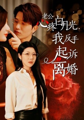 老公疼白月光，我反手起诉离婚 (2024) - 雷宸资源库|雷宸资源库