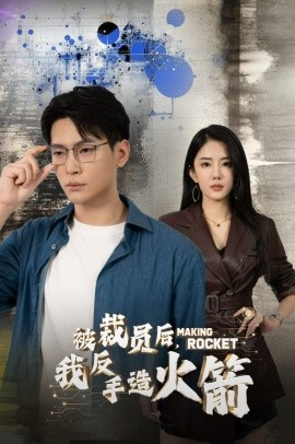 被裁员后，我反手造火箭 (2024) - 雷宸资源库|雷宸资源库