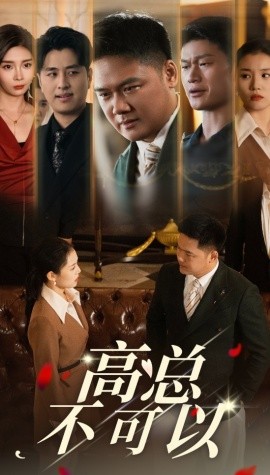 高总不可以 (2024) - 雷宸资源库|雷宸资源库