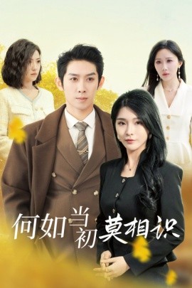 何如当初莫相识 (2024) - 雷宸资源库|雷宸资源库