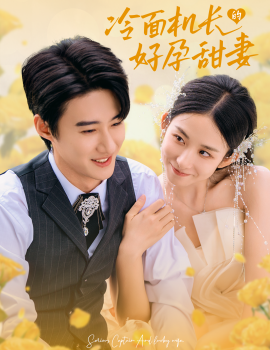 冷面机长的好孕甜妻 (2024) - 雷宸资源库|雷宸资源库