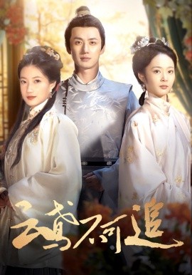 云鸢不可追 (2024) - 雷宸资源库|雷宸资源库