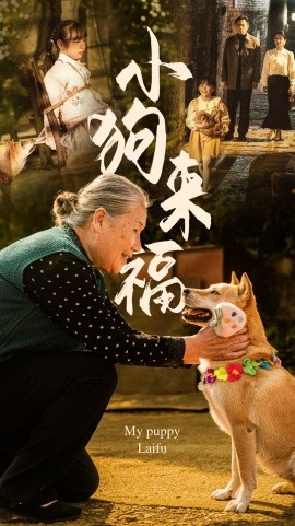 小狗来福 (2024)|雷宸资源库