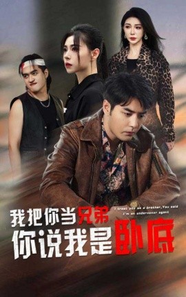 我把你当兄弟你说我是卧底 (2024) - 雷宸资源库|雷宸资源库