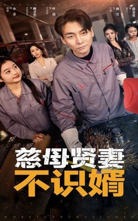 慈母贤妻不识婿 (2024) - 雷宸资源库|雷宸资源库