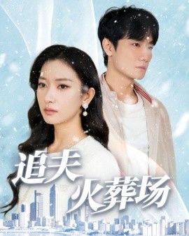 追夫火葬场 (2024) - 雷宸资源库|雷宸资源库