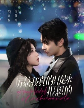 厉总我真的只是来报恩的 (2024)|雷宸资源库