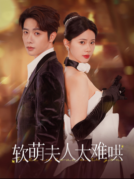 软萌夫人太难哄 (2025) - 雷宸资源库|雷宸资源库