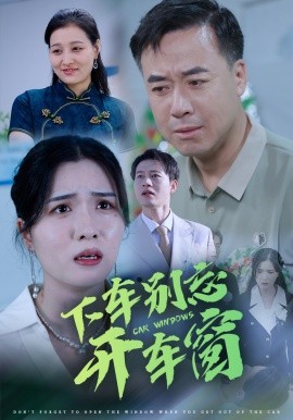 下车别忘开车窗 (2025) - 雷宸资源库|雷宸资源库