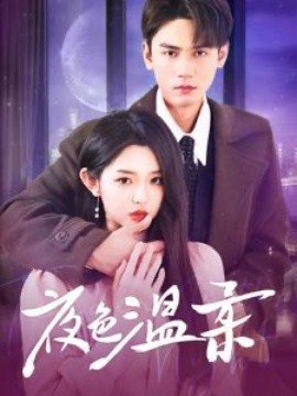 夜色温柔 (2025) - 雷宸资源库|雷宸资源库
