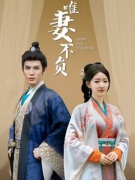 唯妻不负 (2025) - 雷宸资源库|雷宸资源库