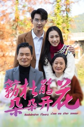 簕杜鹃花朵朵开 (2025) - 雷宸资源库|雷宸资源库