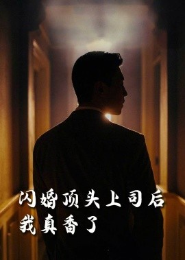 闪婚顶头上司后，我真香了（80集）潘悦铭&刘星辰&攒攒&袁颖 (2025) - 雷宸资源库|雷宸资源库