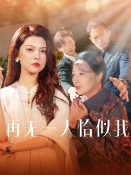 再无一人恰似我（60集）(2025)|雷宸资源库