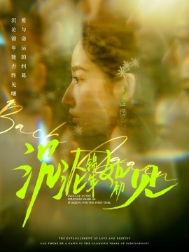 沉沦锦年如初见（79集）周彦哲＆徐忠慧 (2025)|雷宸资源库