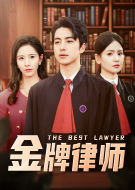 金牌律师（48集）吴昊&丁晓 (2025)|雷宸资源库