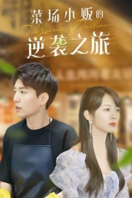 物价贬值：莱场小贩钞级逆袭&菜场小贩的逆袭之旅（90集）杜培源 (2025) - 雷宸资源库|雷宸资源库