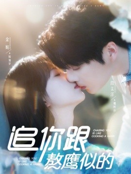 追你跟熬鹰似的（95集）段美洋＆金妮 (2025)|雷宸资源库